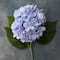12 Pack: Blue Hydrangea Stem by Ashland®